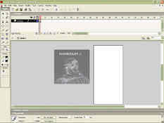 Как отредактировать macromedia flash