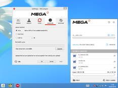 instaling MEGAsync 4.9.5