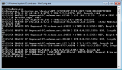 windump 3.9.5